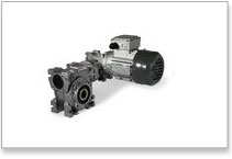 MGM-VARVEL RT/RT Series Gear Motor